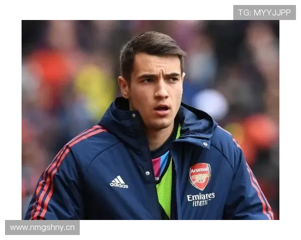 里程碑之战戴维拉亚完成阿森纳第100场出场书写球队门神荣耀新篇章 里程碑之战戴维拉亚完成阿森纳第100场出场书写球队门神荣耀新篇章