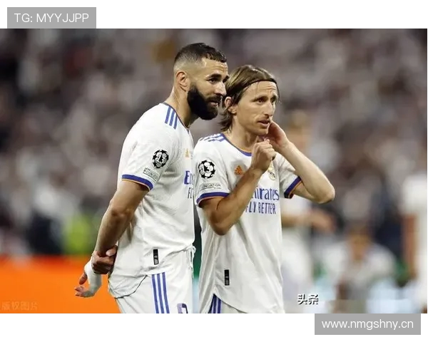 欧足联考虑世预赛改革或将借鉴欧冠新赛制模式